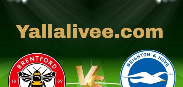 يلا لايف-بث مباشر مباراة برايتون و برينتفورد